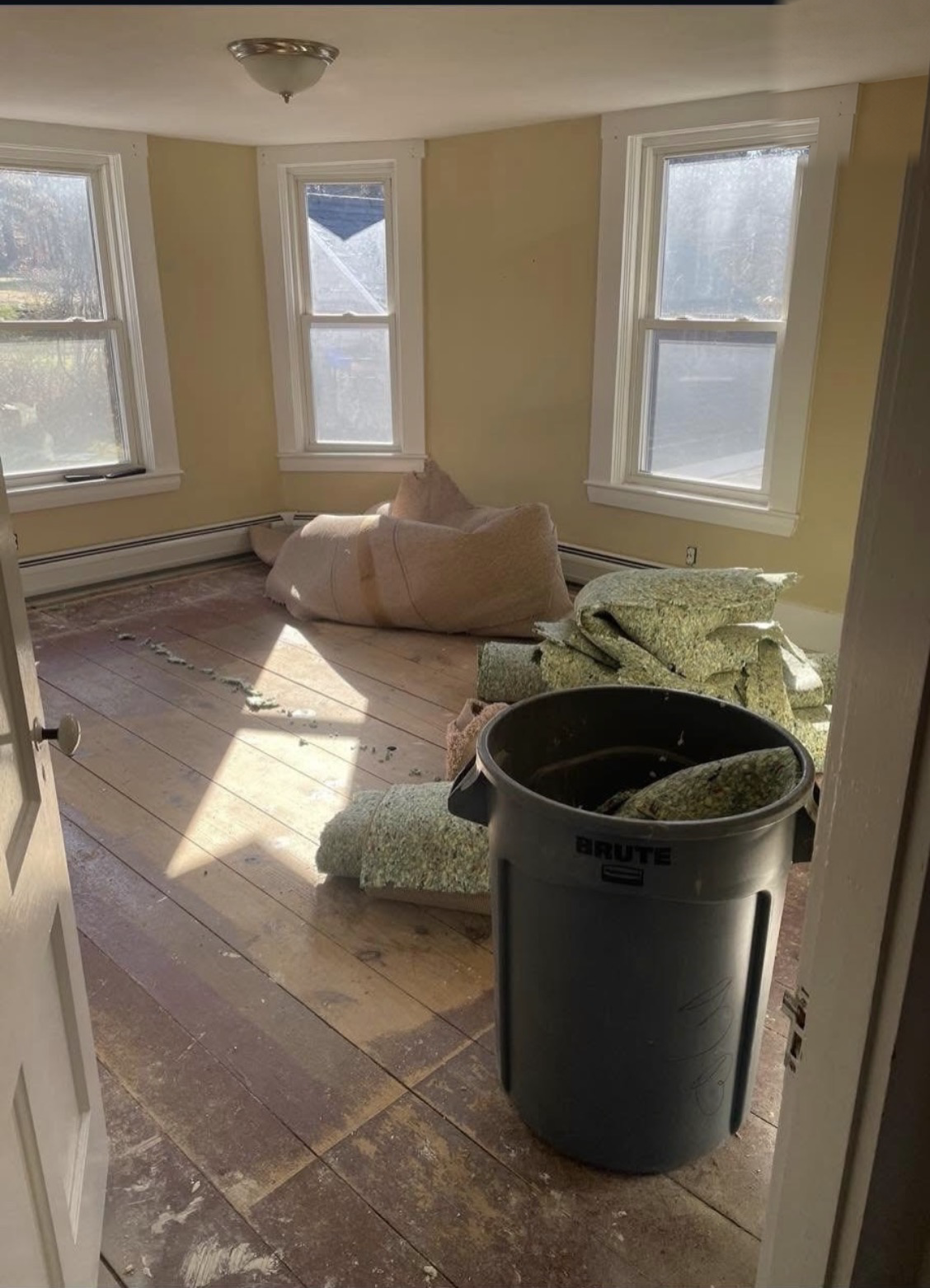 Room with old carpet and padding pulled back, bare subfloor and faded yellow walls during renovation